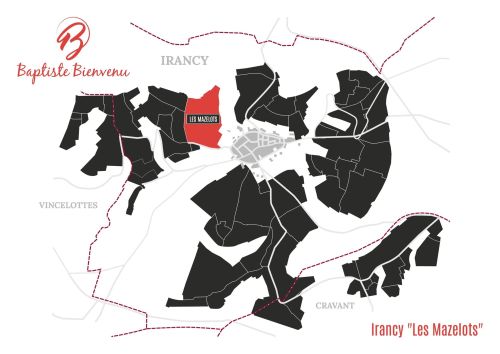 2022 Irancy "Les Mazelots" - Caves Baptiste Bienvenu Irancy Chablis